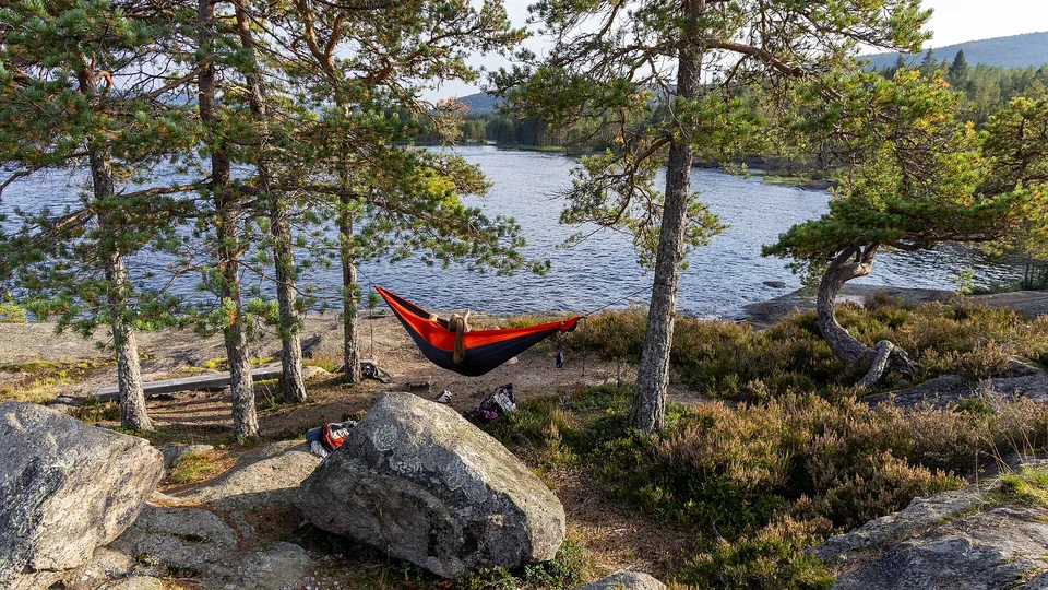 Rote Hängematte zwischen Kiefern an einem See
